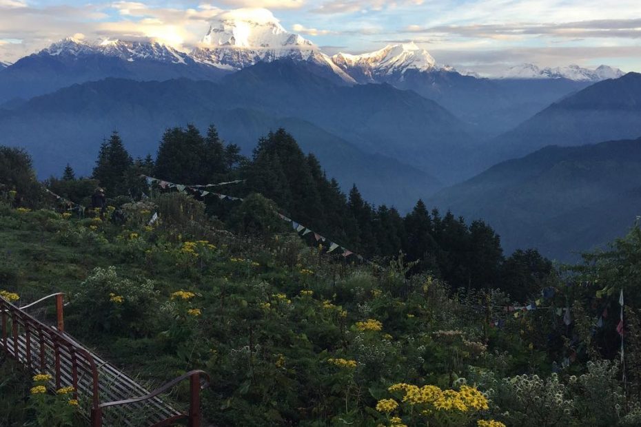 Ghorepani Poon Hill Trek